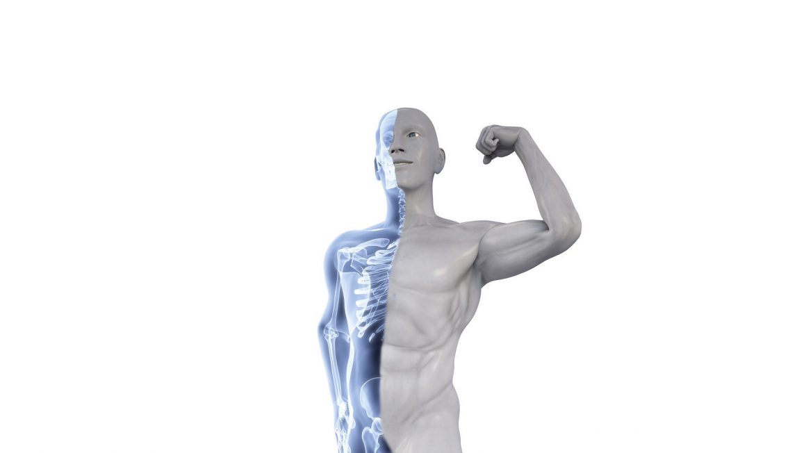 نقش مکمل استئوکینون در حفظ سلامت استخوان ها