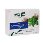 قرص نوراگل گل دارو 30 عددی