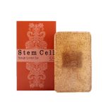 پن اسکراب و لایه بردار استم سل 100 گرمی