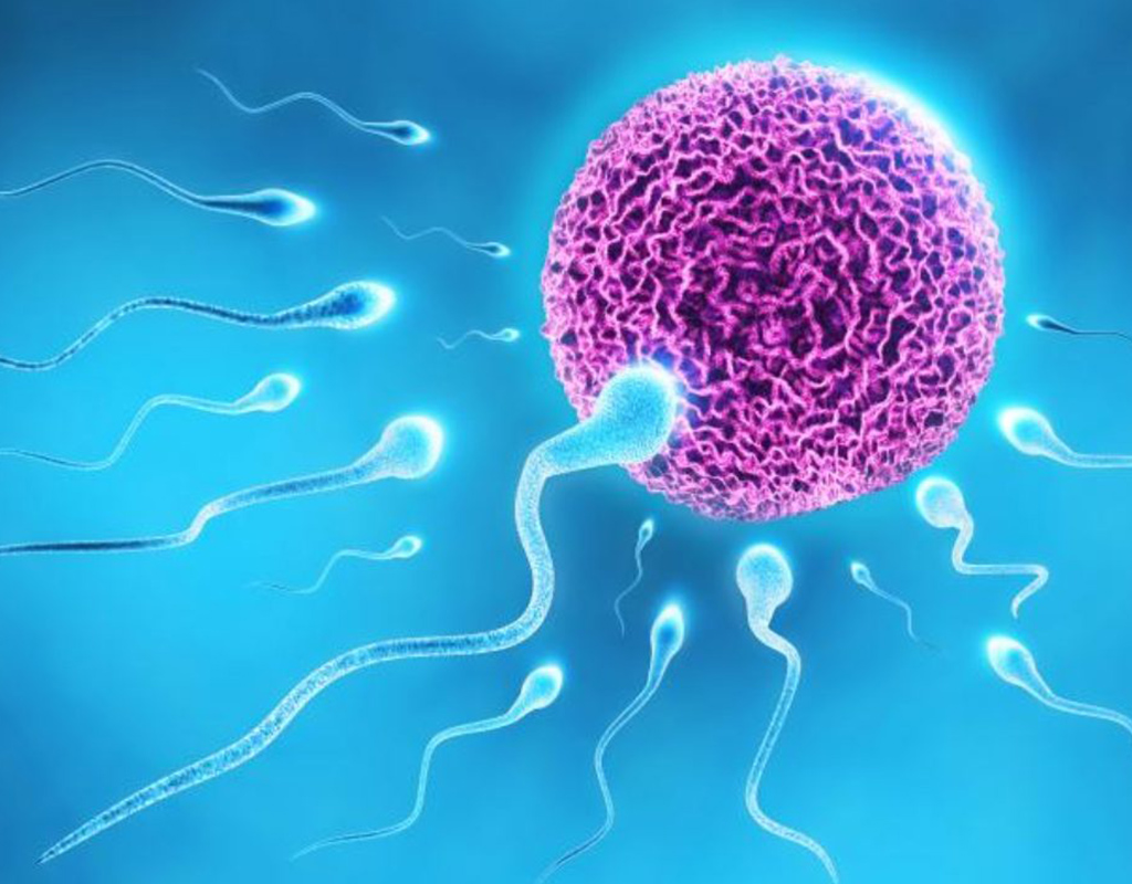 علل متفاوت ناباروری مردان