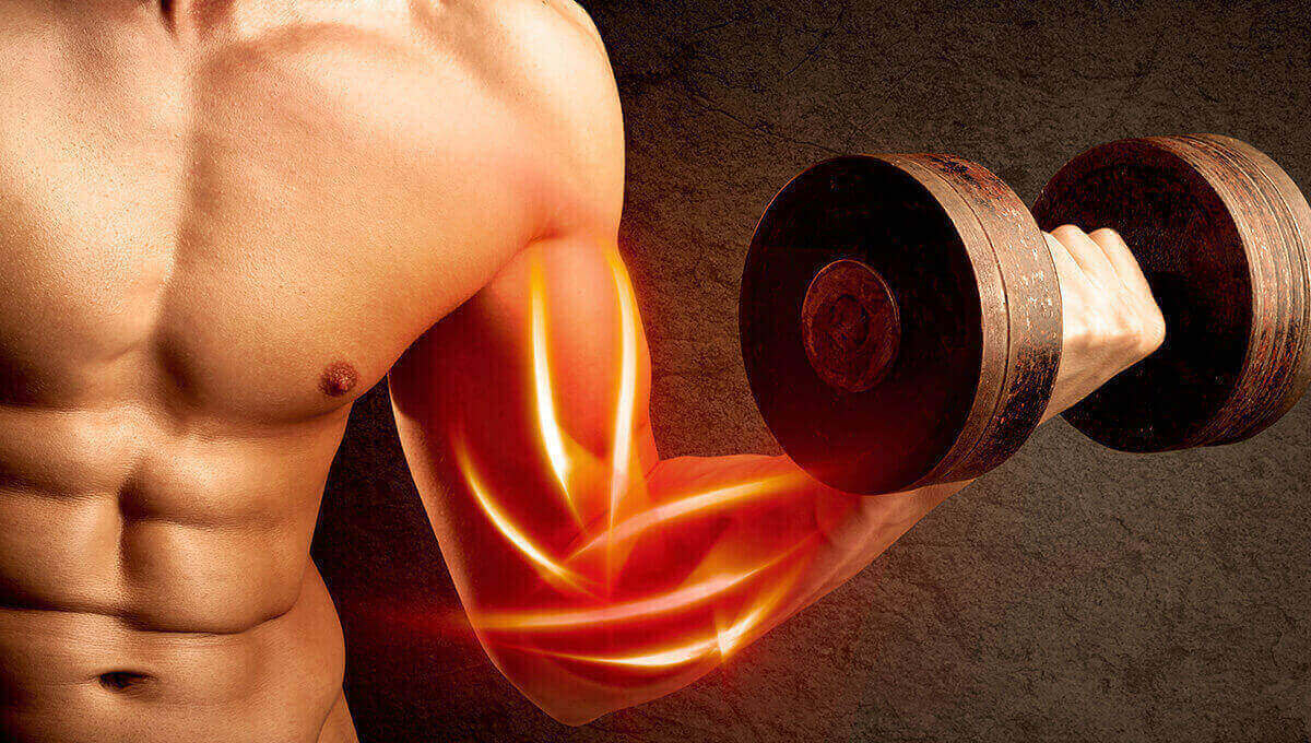 تاثیرات گلوتامین در افزایش حجم عضلات